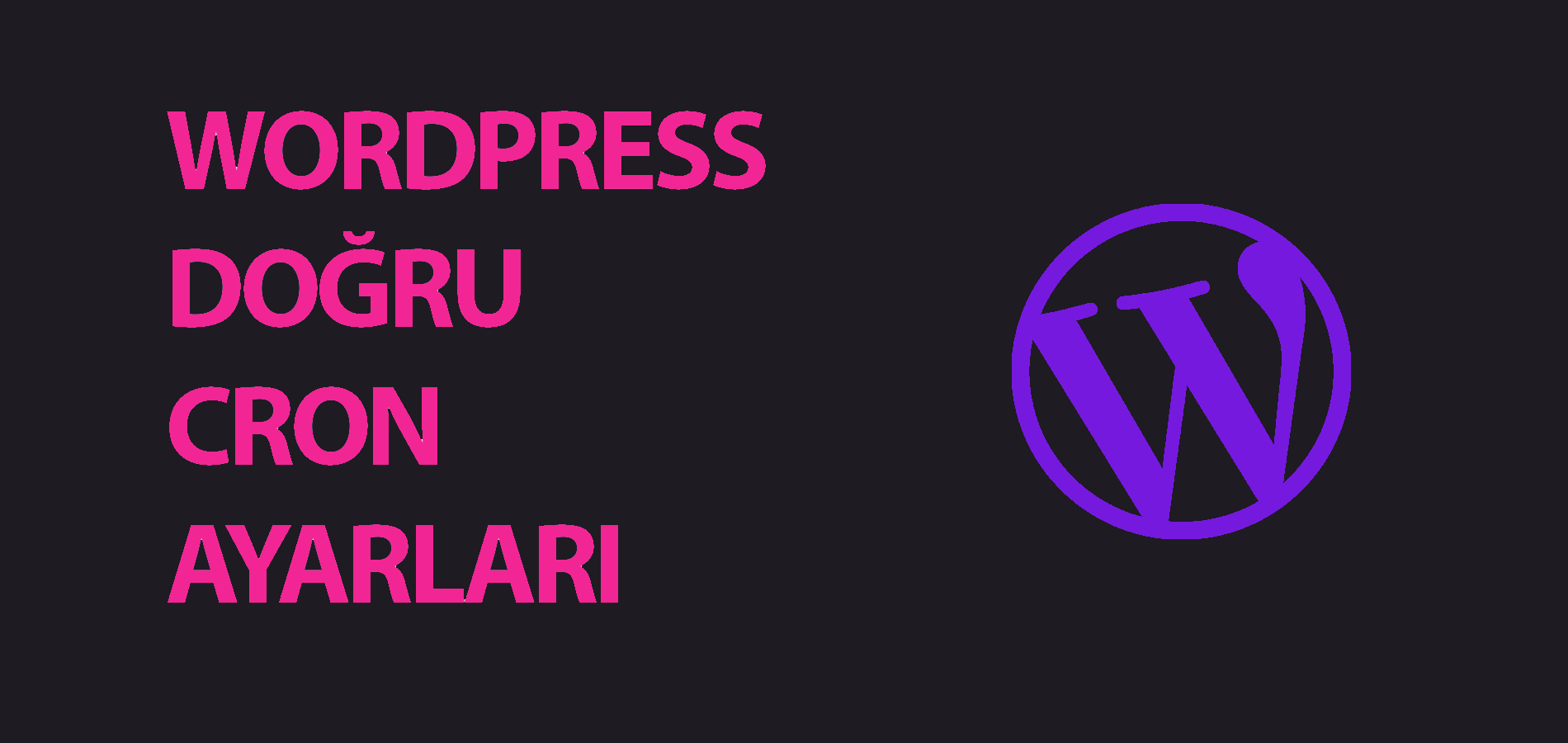 Doğru Cron Ayarları İle WordPress Eklenti ve Temalarınız Otomatik Güncellensin!